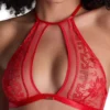 Aubade Rules Of Attraction Bralette - Flame