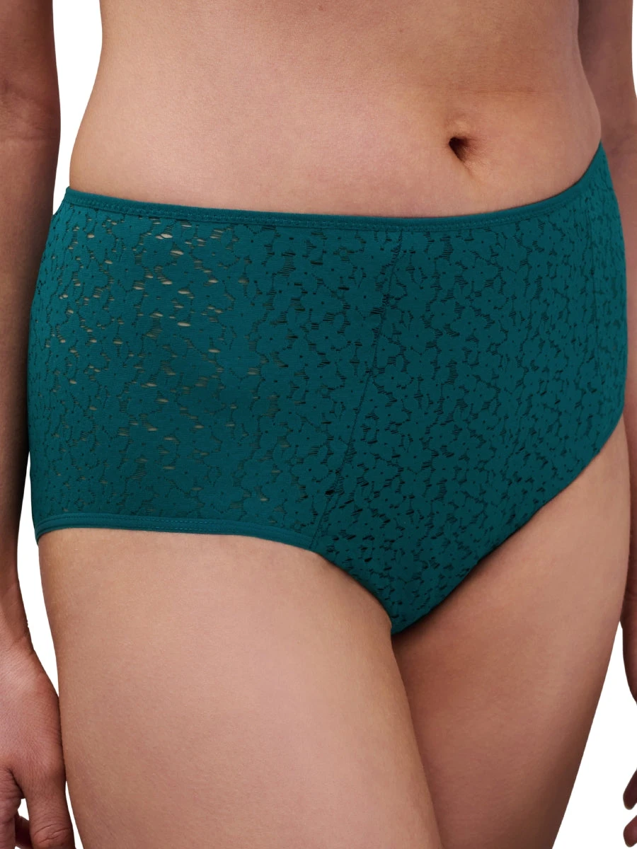 Chantelle Easy Feel Norah High Waisted Covering Full Brief - Image 3