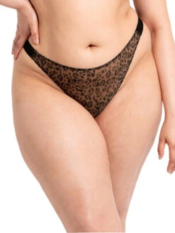 Curvy Kate Cool Cat Tanga