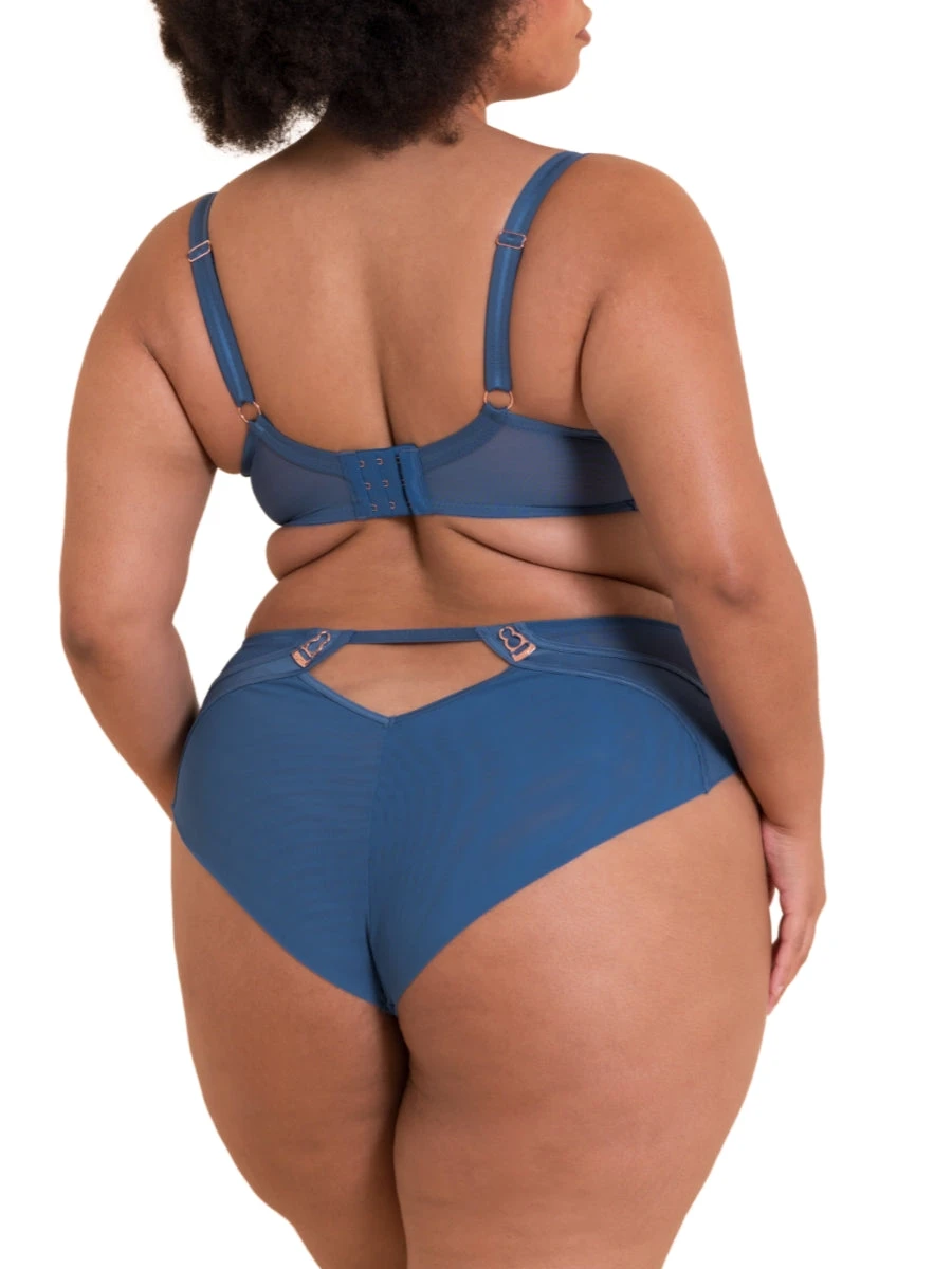 Curvy Kate Suspense Plunge Bra - French Blue - Image 4
