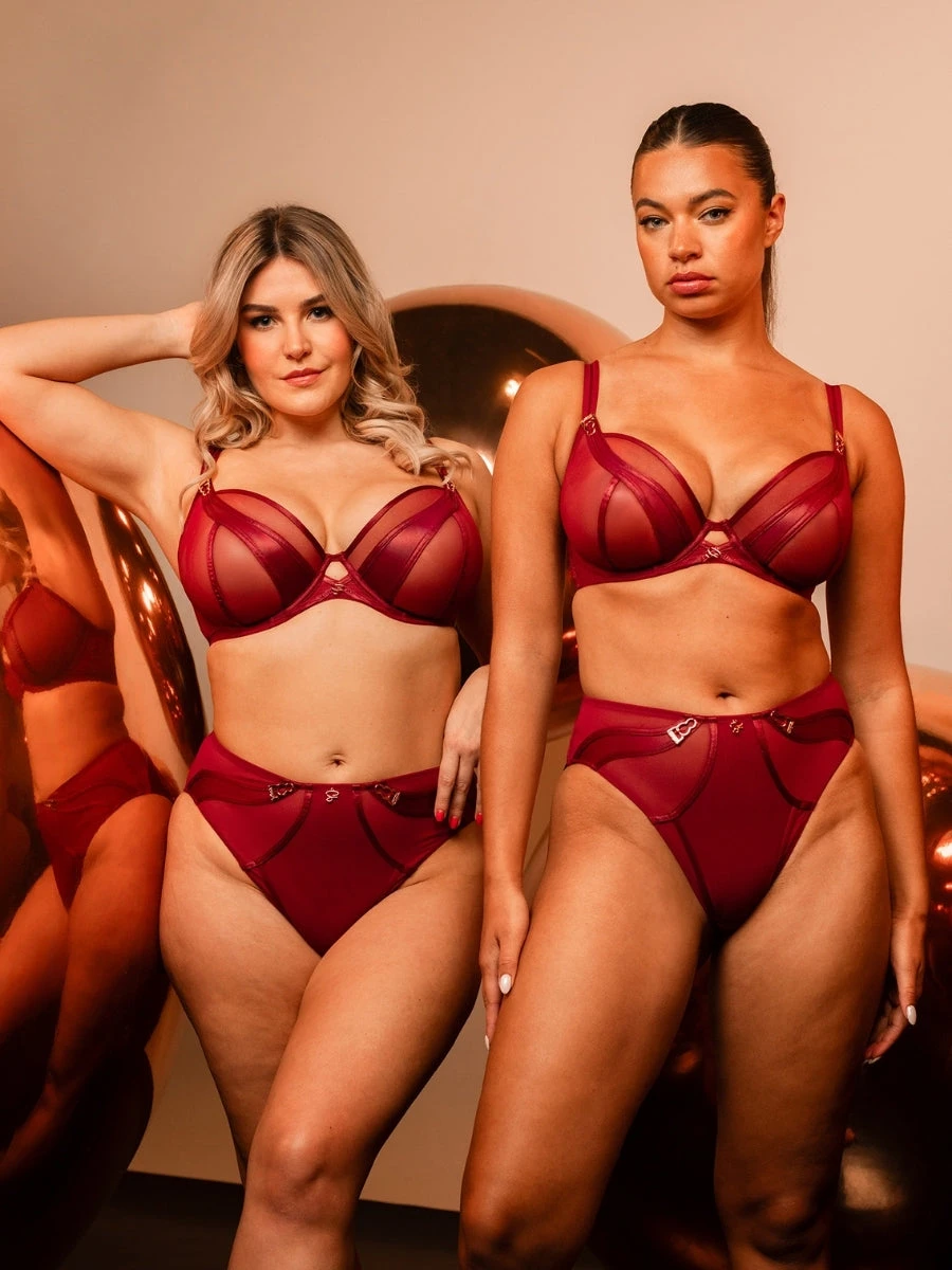 Curvy Kate Suspense Plunge Bra - Sangria - Image 9