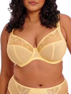 ELOMI Charley Plunge Bra - Lemon Fizz