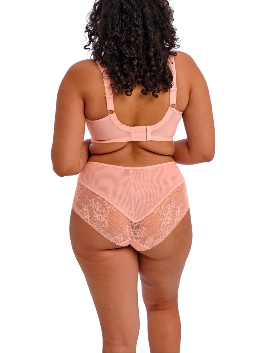 ELOMI Kendra Plunge Bra - Rose Bud - Image 4