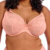 ELOMI Kendra Plunge Bra - Rose Bud