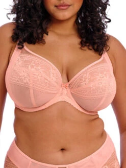 ELOMI Kendra Plunge Bra - Rose Bud