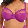 ELOMI Matilda Plunge Bra - Hollyhock
