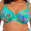 ELOMI Toyama Tides Plunge Bikini Top - Jade