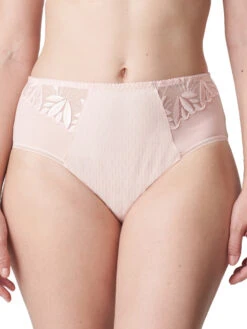 PRIMADONNA Orlando Full Brief