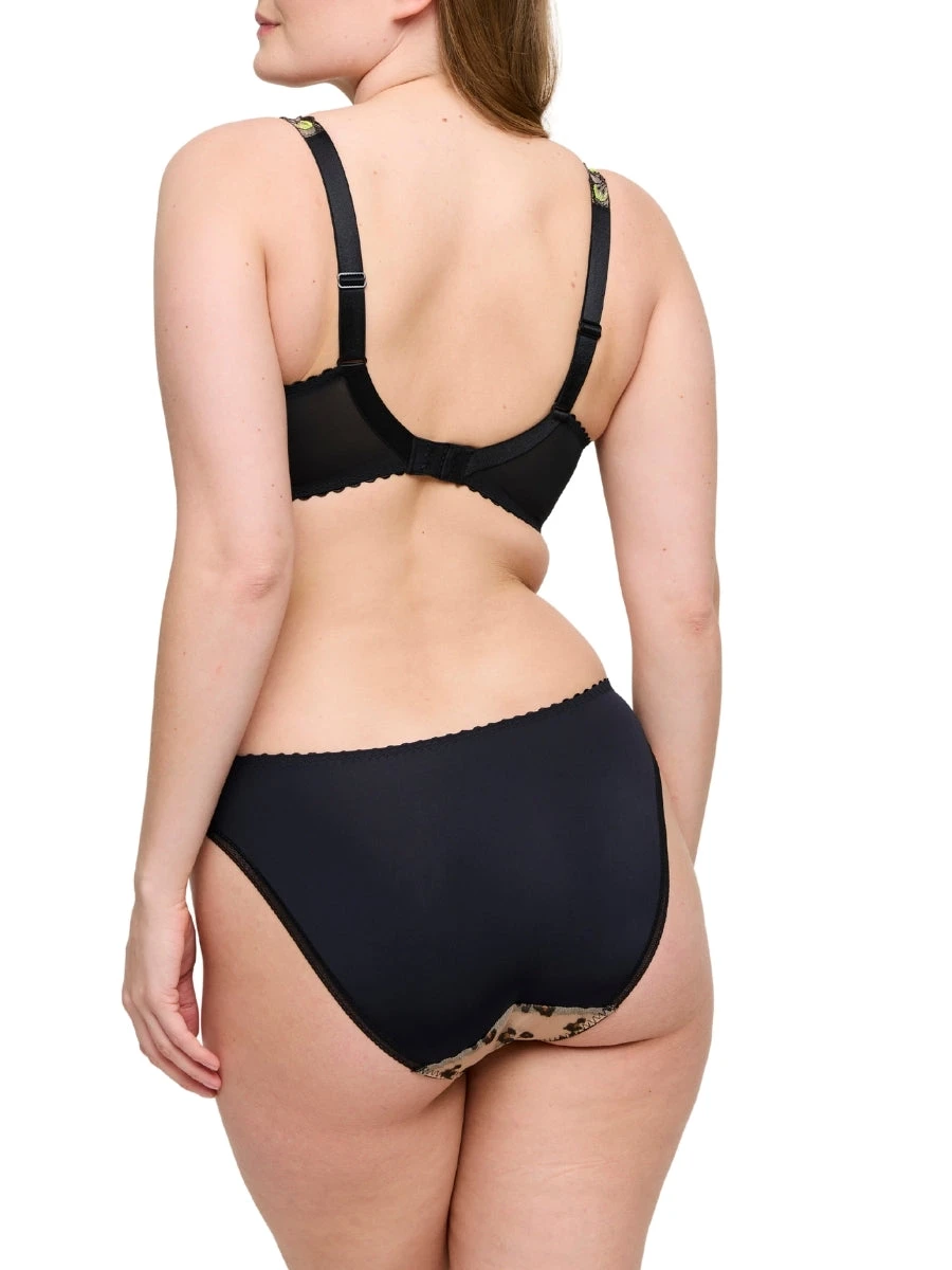 PRIMADONNA Manali Rio Brief - Image 5