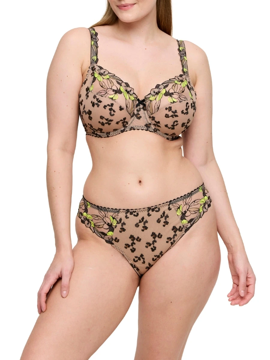 PRIMADONNA Manali Rio Brief - Image 4