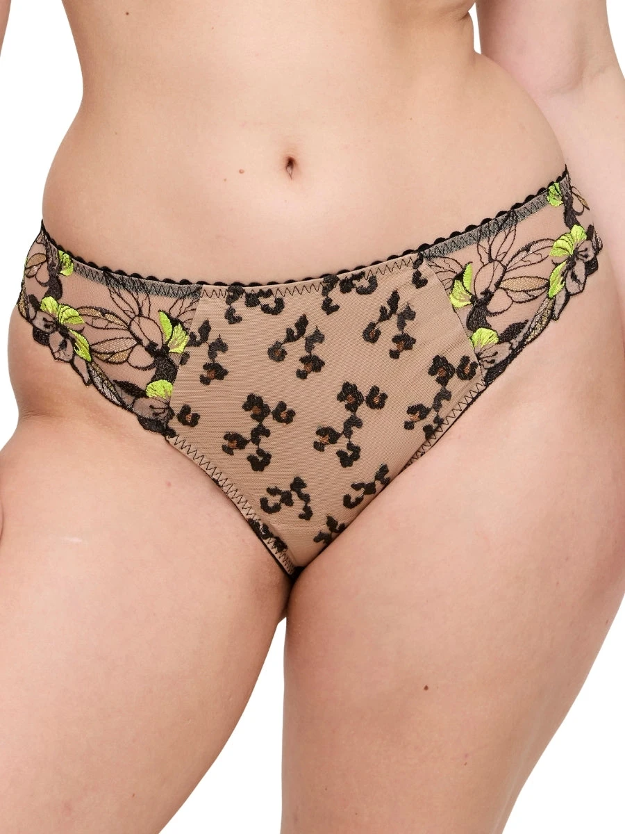 PRIMADONNA Manali Rio Brief