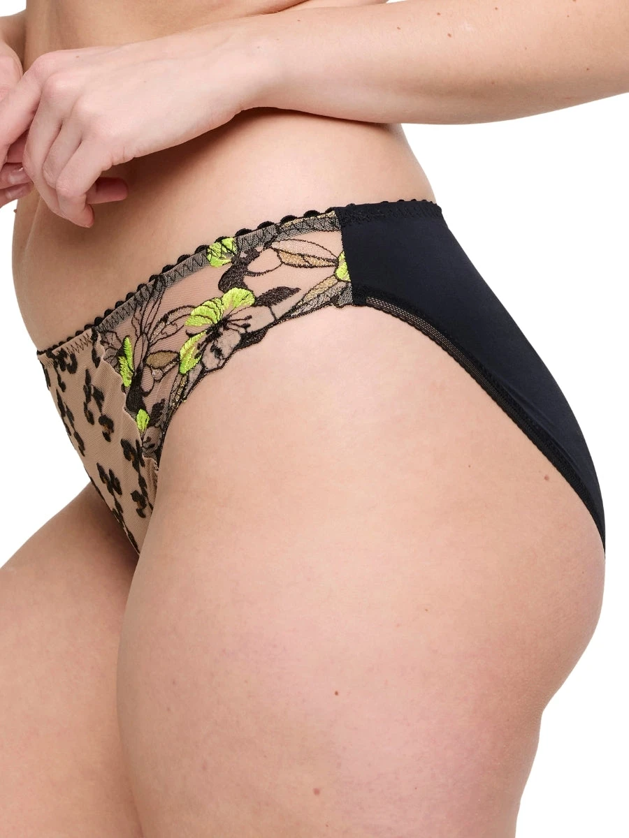 PRIMADONNA Manali Rio Brief - Image 3