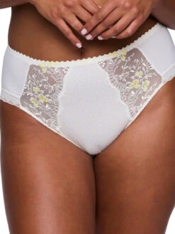 PRIMADONNA Novaro Full Brief